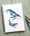 CARNET DE NOTES - LES BALEINES OCÉAN