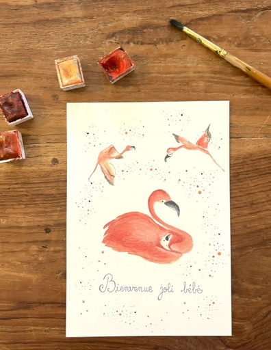 [4210] CARTE POSTALE BEBE - FAMILLE FLAMANTS ROSE