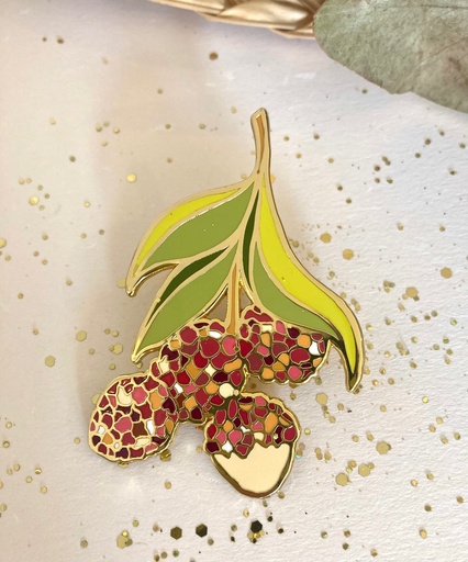 [4913] BROCHE LES LETCHIS