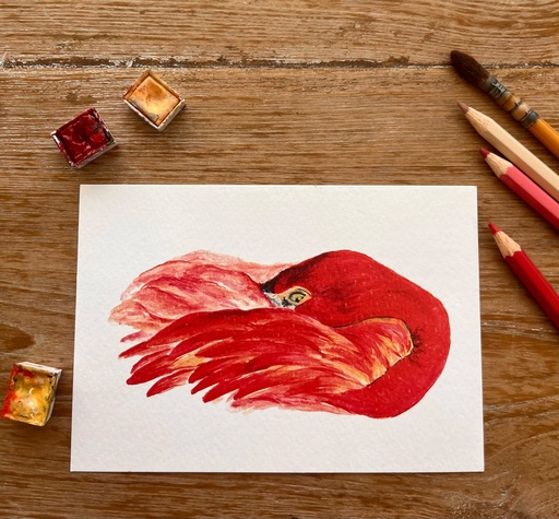[3978] CARTE POSTALE LE FLAMANT ROSE ACRYLIQUE