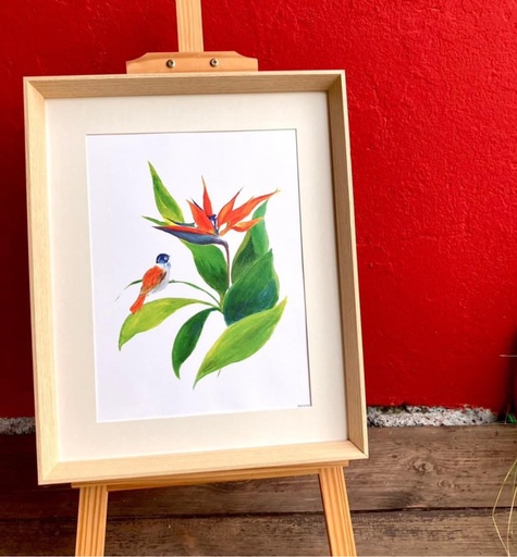 [5613] AFFICHE - L'OISEAU DE PARADIS