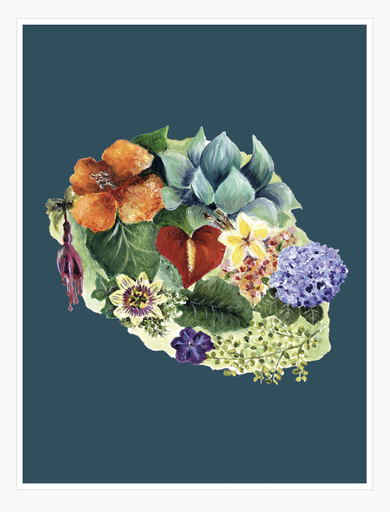 [5866] AFFICHE L'ILE AUX FLEURS SUR FOND BLEU