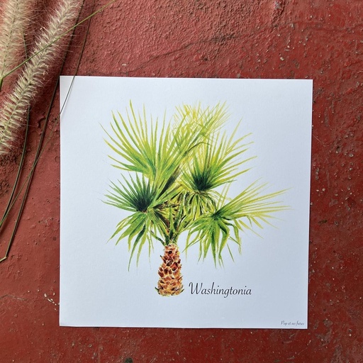 [5446] AFFICHE LE WASHINGTONIA