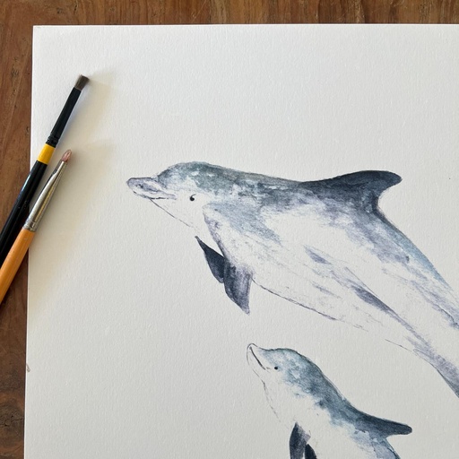 [5958] AFFICHE LES DAUPHINS