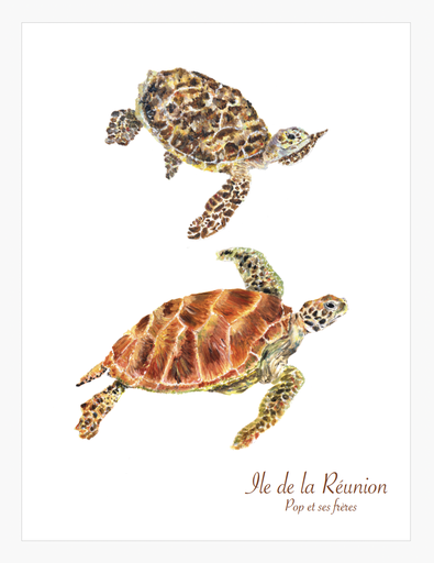 [5941] AFFICHE LES  DEUX TORTUES DE MER